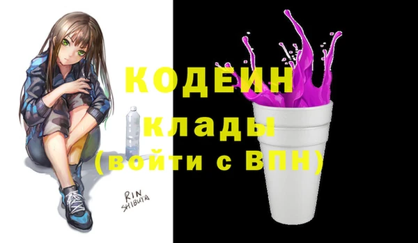 СК Ельня