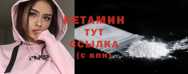 СК Туринск