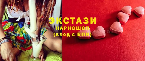 СК Туринск