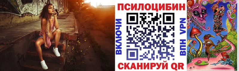 Галлюциногенные грибы Psilocybe  Купить где  Сковородино 